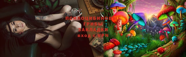шишки Нягань