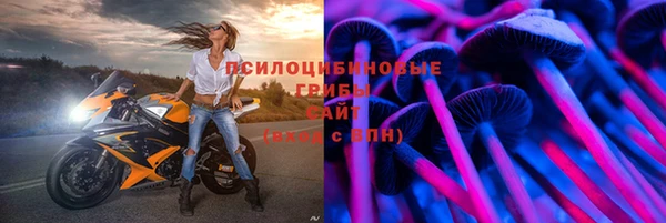 марки nbome Ельня