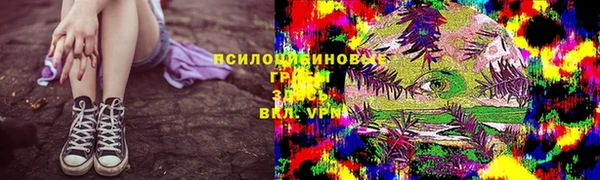 мдпв Нязепетровск