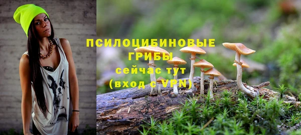 mix Абинск