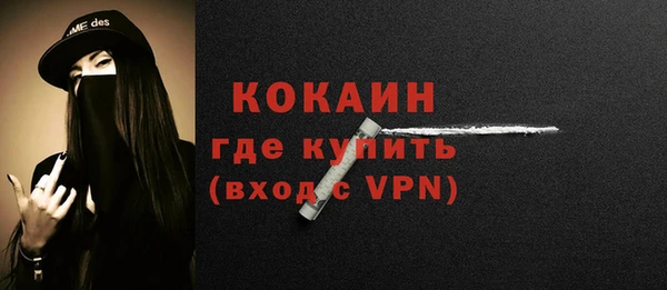 шишки Нягань