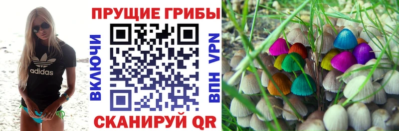 Псилоцибиновые грибы Psilocybe  Холмск 